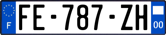 FE-787-ZH