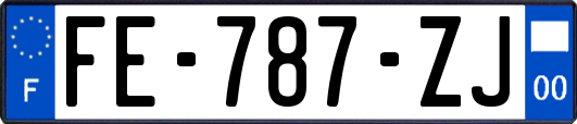 FE-787-ZJ