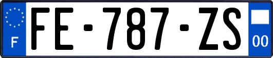 FE-787-ZS