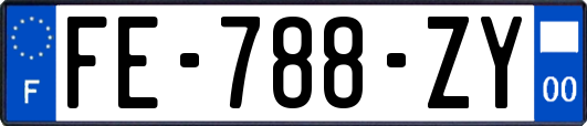 FE-788-ZY
