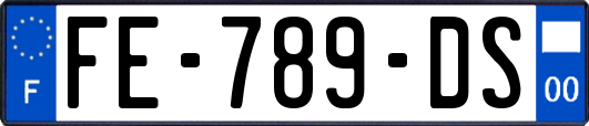 FE-789-DS