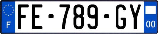 FE-789-GY