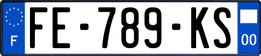 FE-789-KS