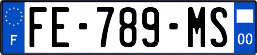 FE-789-MS