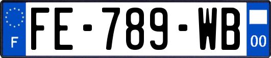 FE-789-WB