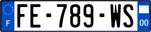 FE-789-WS