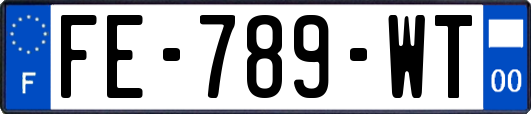 FE-789-WT
