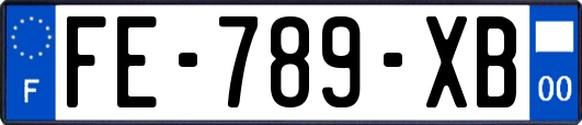 FE-789-XB