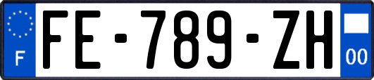 FE-789-ZH