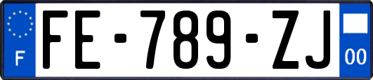 FE-789-ZJ