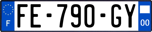 FE-790-GY