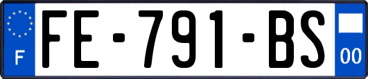 FE-791-BS