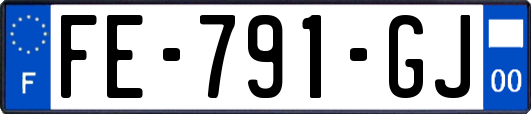 FE-791-GJ