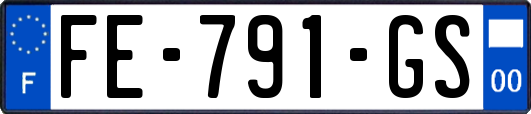 FE-791-GS