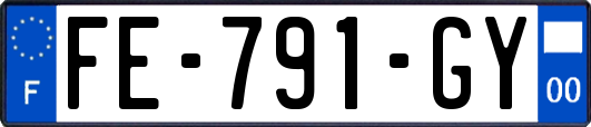 FE-791-GY