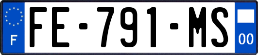 FE-791-MS