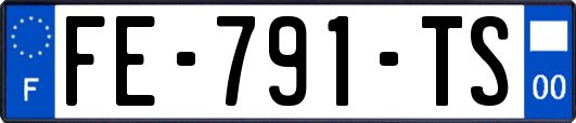 FE-791-TS
