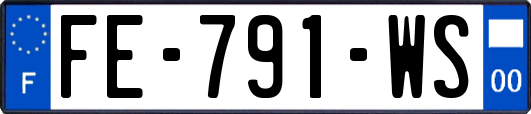 FE-791-WS