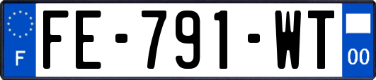 FE-791-WT