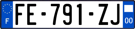 FE-791-ZJ