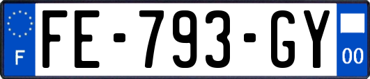 FE-793-GY