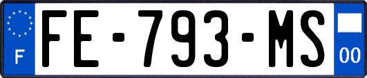 FE-793-MS