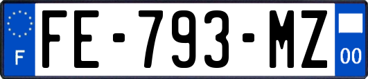 FE-793-MZ