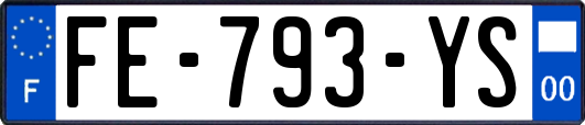FE-793-YS