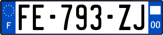 FE-793-ZJ