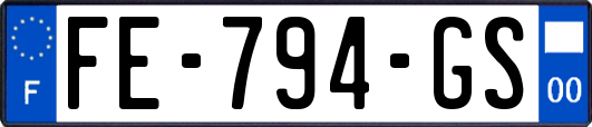 FE-794-GS