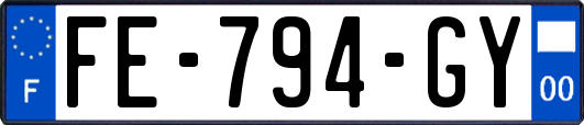 FE-794-GY