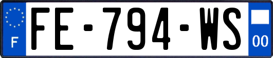 FE-794-WS
