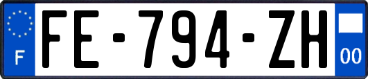 FE-794-ZH