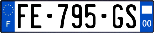 FE-795-GS