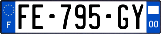 FE-795-GY