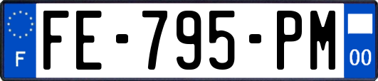 FE-795-PM