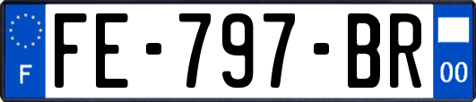 FE-797-BR