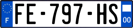 FE-797-HS