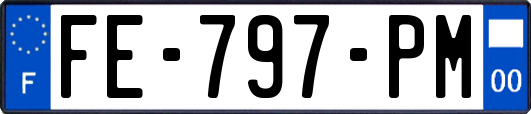 FE-797-PM