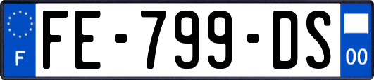 FE-799-DS