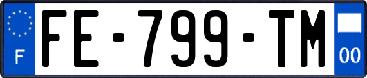 FE-799-TM