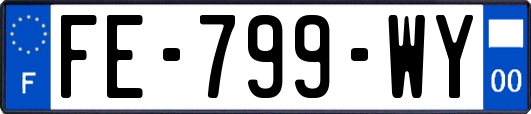 FE-799-WY