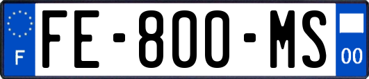 FE-800-MS