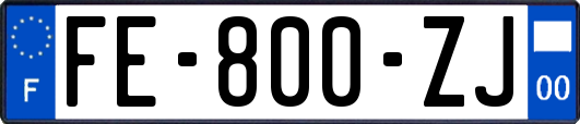 FE-800-ZJ