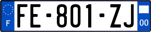 FE-801-ZJ