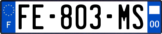 FE-803-MS