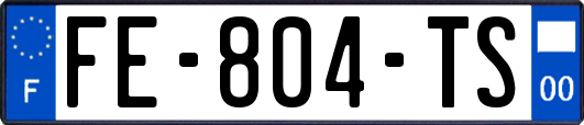 FE-804-TS