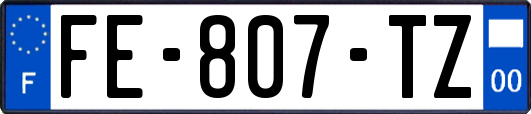 FE-807-TZ