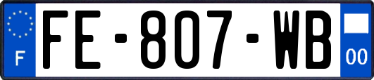 FE-807-WB