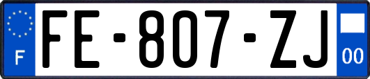 FE-807-ZJ